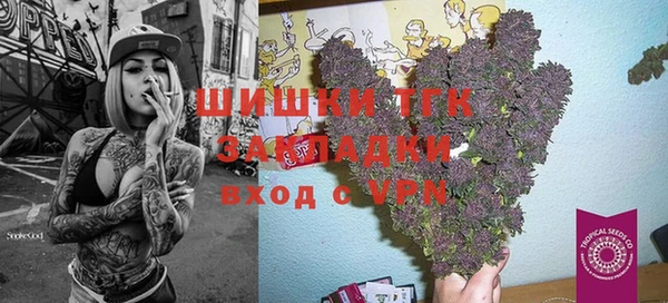 экстази Дмитриев