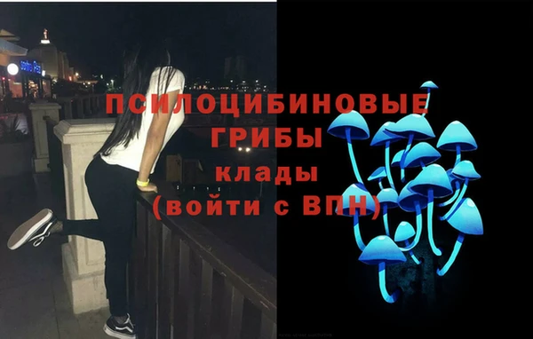 a pvp Дмитров