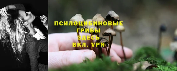 2c-b Дмитровск