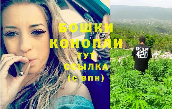 экстази Дмитриев