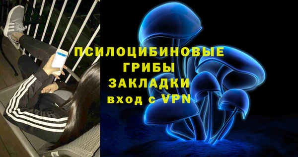 экстази Дмитриев